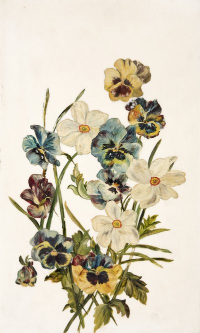Still Life, Pansies and Narcissi by Unbekannt Unbekannt